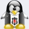hayall__